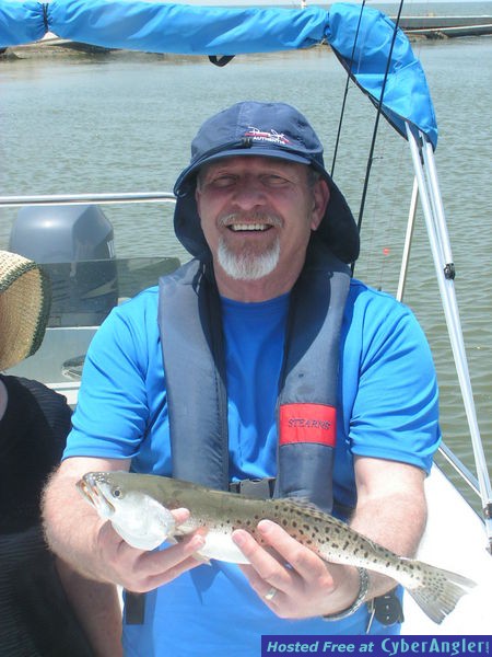 17 incher