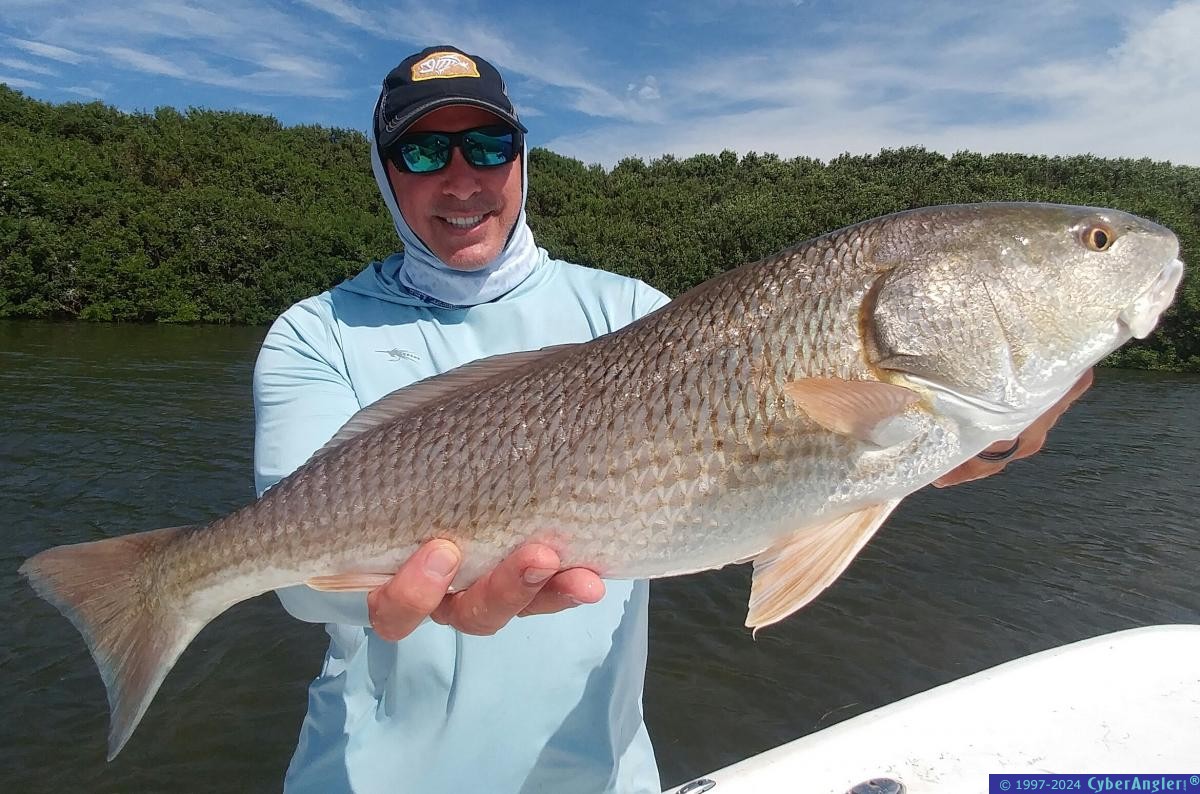 Click to Enlarge Photo