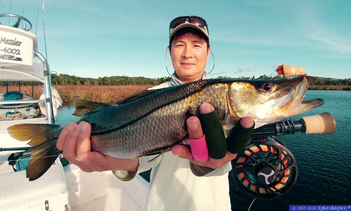 Click to Enlarge Photo