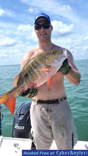 Click to Enlarge Photo