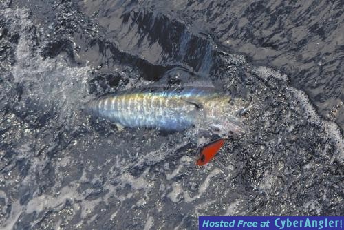 Click to Enlarge Photo