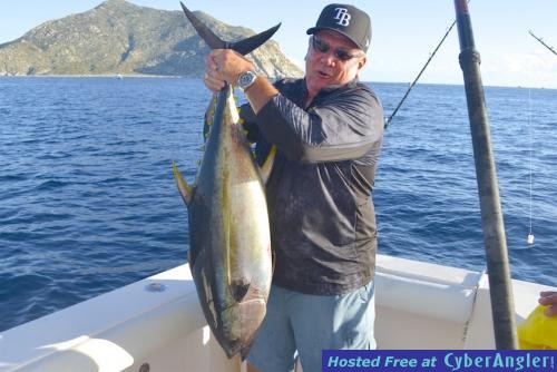 Click to Enlarge Photo