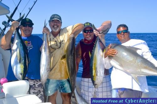 Click to Enlarge Photo