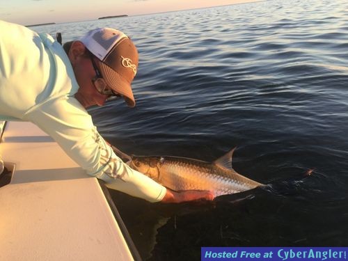 Click to Enlarge Photo