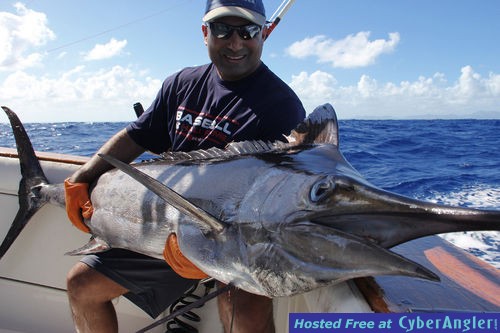 Blue Marlin in Punta Cana with Mr. Ali