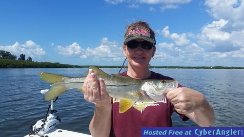 Click to Enlarge Photo