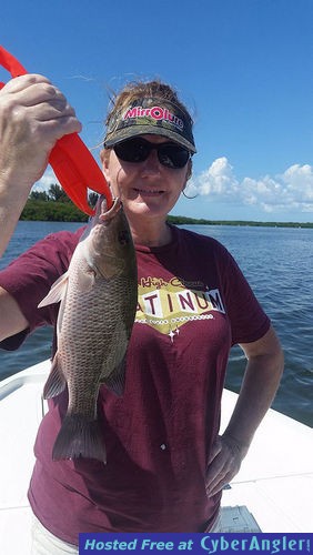 Click to Enlarge Photo