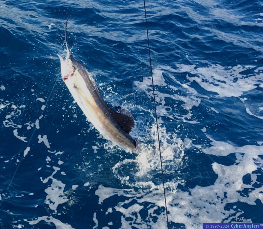 Click to Enlarge Photo