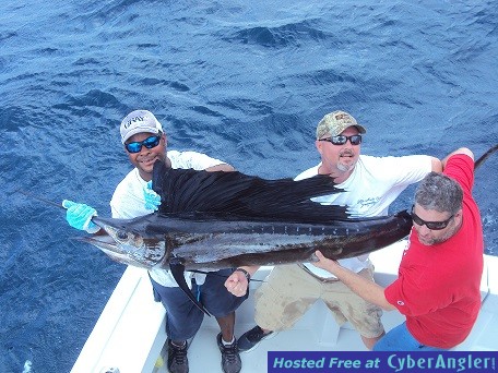 Sailfish Michael4