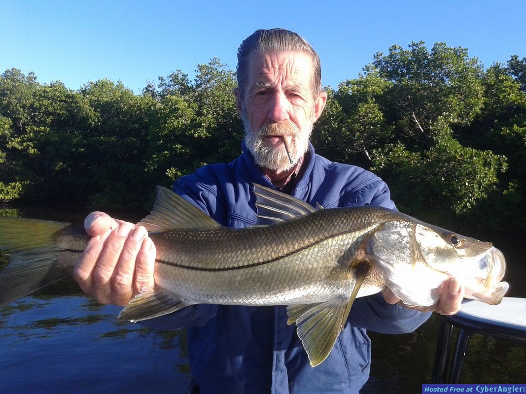 cold snook