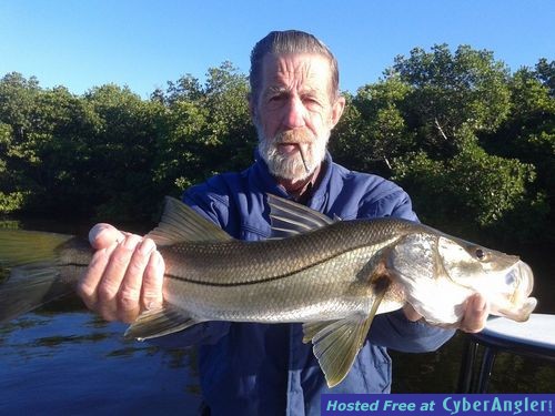 Click to Enlarge Photo