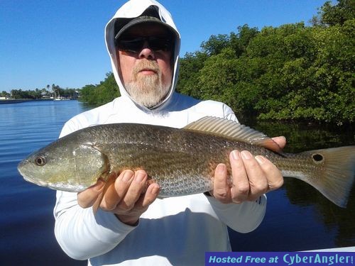 Click to Enlarge Photo