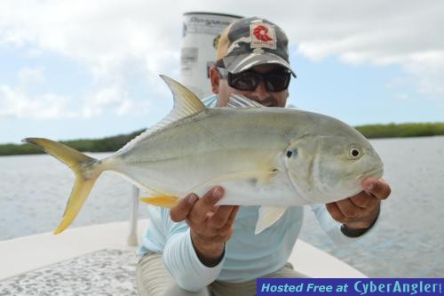 Click to Enlarge Photo