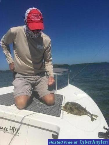 Click to Enlarge Photo