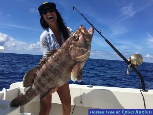 Click to Enlarge Photo