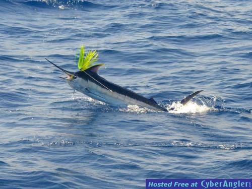 Click to Enlarge Photo