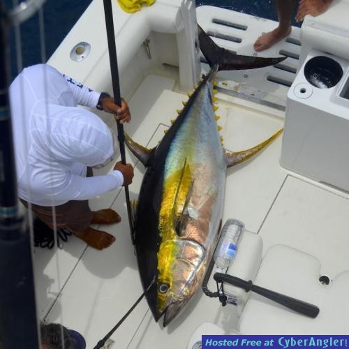 Click to Enlarge Photo