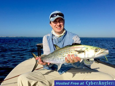 Tampa Bay fly fishing big mackerel