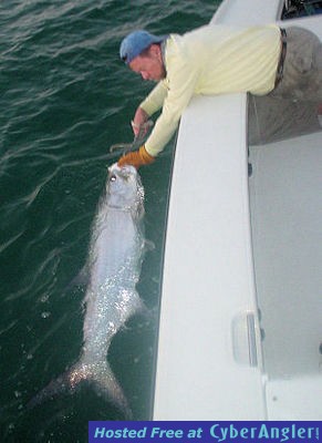 Hal Lutz's fly tarpon