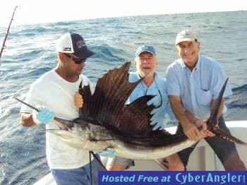 sail fish drick