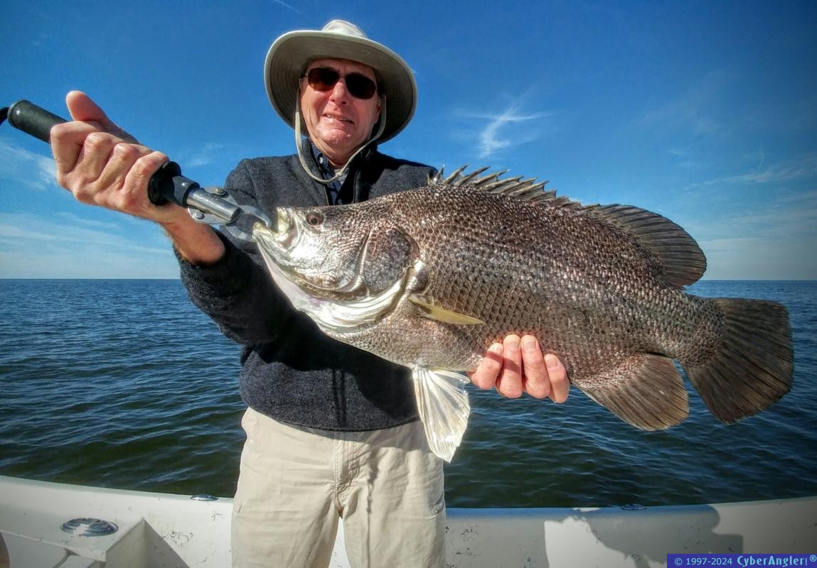 Click to Enlarge Photo