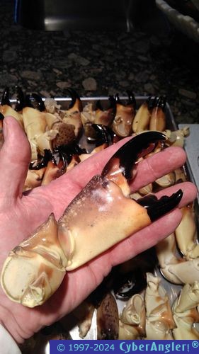 Click to Enlarge Photo