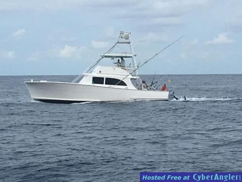 Click to Enlarge Photo