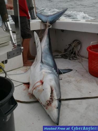 Click to Enlarge Photo