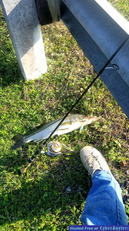 snook_n_trail