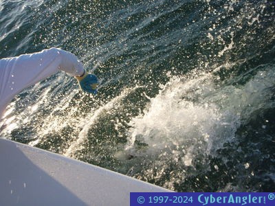 Click to Enlarge Photo