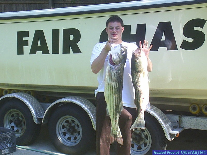 ADAMS STRIPERS