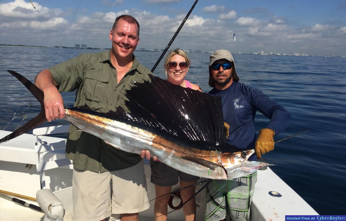 sailfishftl