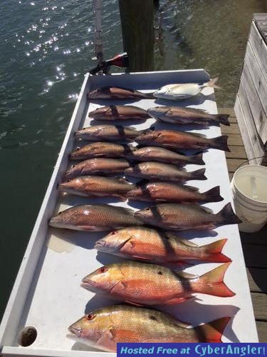 Click to Enlarge Photo