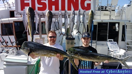 Mahi Mahi Glenn sm