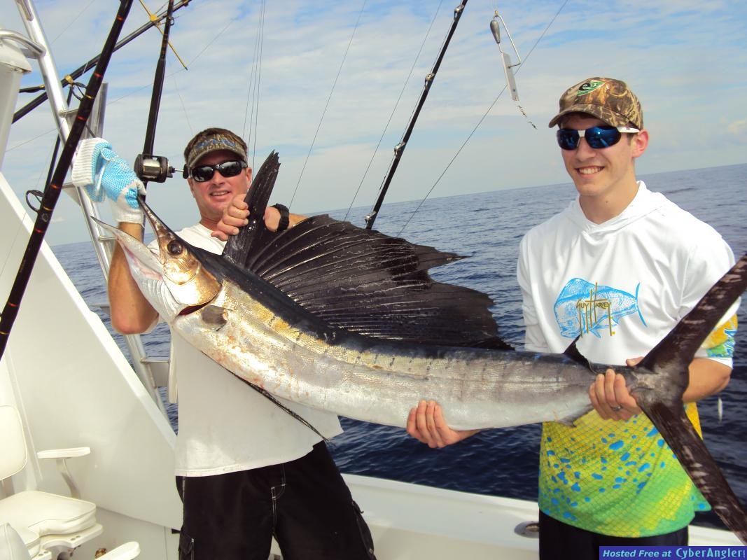 sailfishbobb