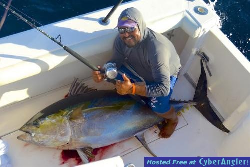 Click to Enlarge Photo