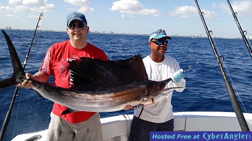 Sailfish Derek small