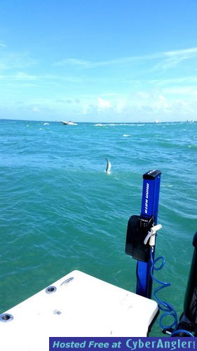 Click to Enlarge Photo