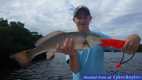 Click to Enlarge Photo