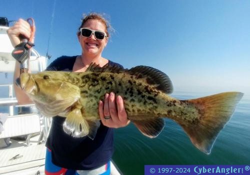 Click to Enlarge Photo