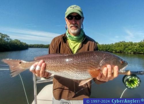 Click to Enlarge Photo