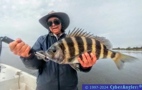 Click to Enlarge Photo