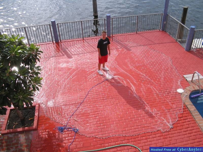 12' Cast Net