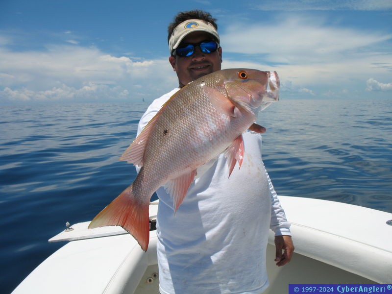 Miami Mutton!