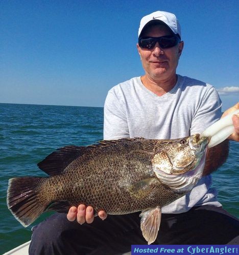 Estero Bay Tripletail