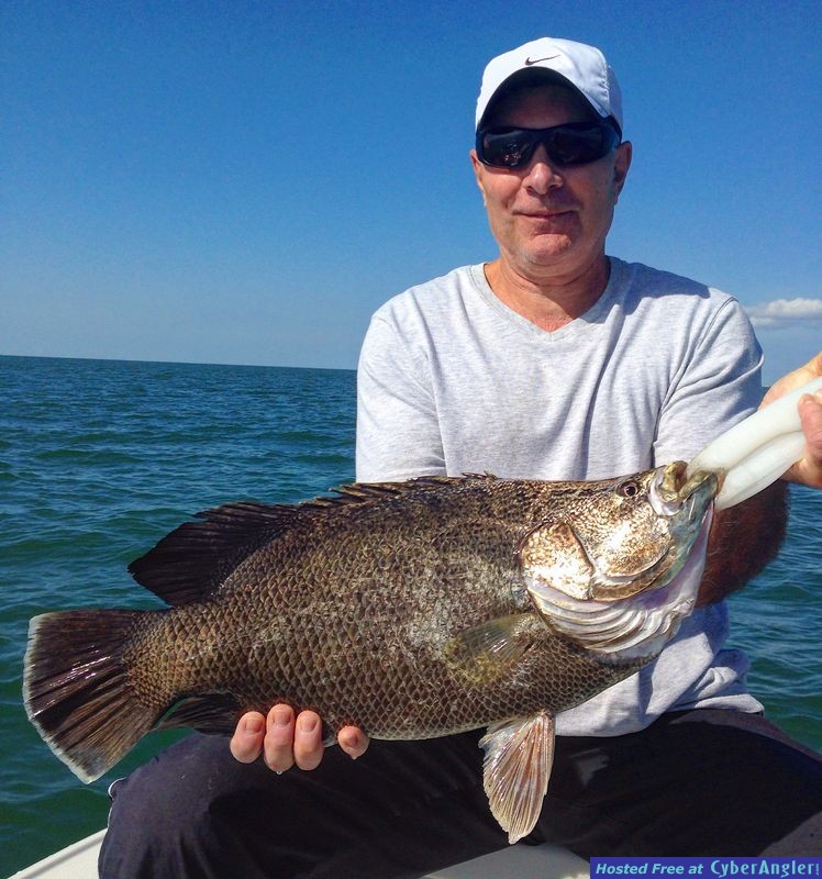 Estero Bay Tripletail