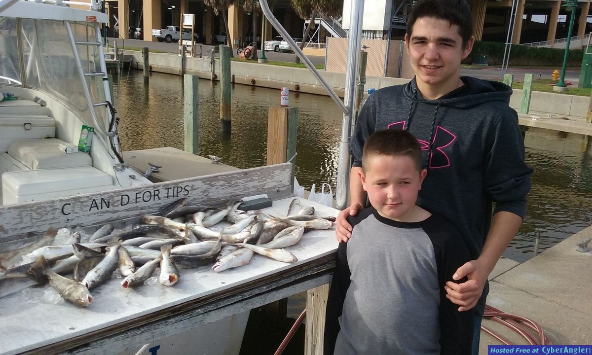 60 white trout