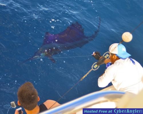 Click to Enlarge Photo