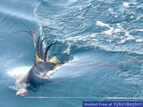 Click to Enlarge Photo