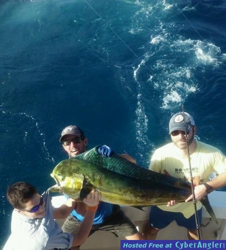 Click to Enlarge Photo